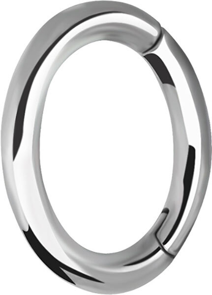 Surgical Steel Oval Hinged Rook Ring