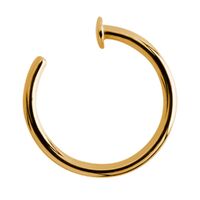 Bright Gold Open Nose Ring