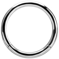 Chromium Finish Nickel Free Surgical Steel Hinged Segment Ring