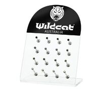 Empty 16pc Clear Labret Stand : Clear