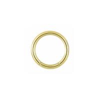 Titanium Zirconline® Smooth Segment Ring