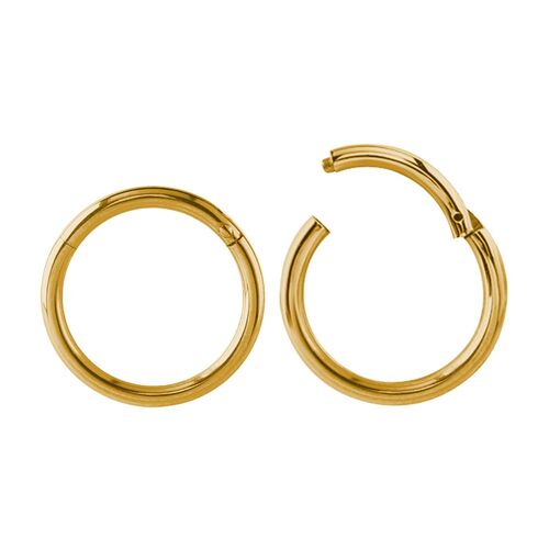 Bright Gold Hinged Segment Ring : 1.0mm (18ga) x 7mm
