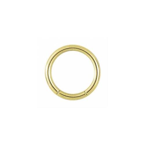 Titanium Zirconline® Smooth Segment Ring : 1.2mm (16ga) x 10mm