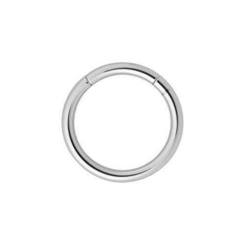 Titanium Highline® Smooth Segment Rings : 1.2mm (16ga) x 8mm x Ti-glo